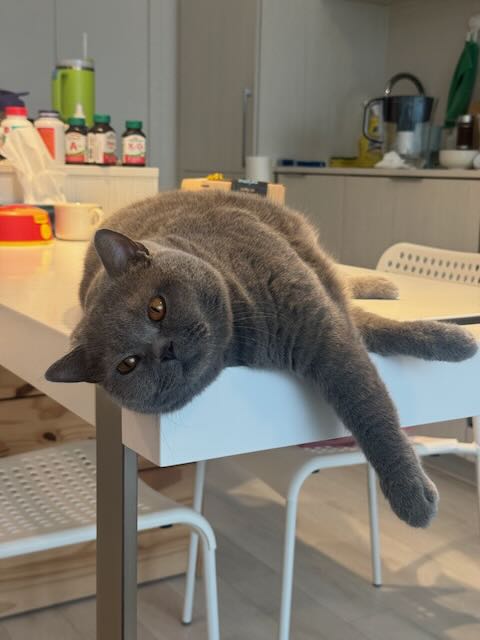 Dada - Creative Inspiration