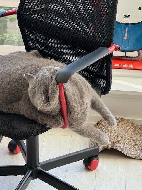 Dada - Artistic Expression